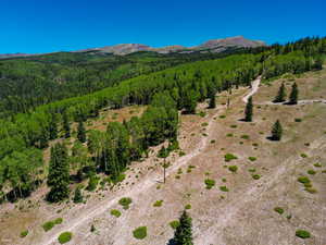 Bird's eye view of a mountain backdrop