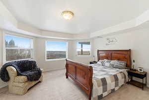 Bedroom with carpet floors