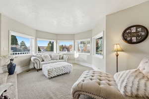 Carpeted bedroom with baseboards and a textured ceiling