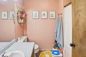 Full bathroom featuring vanity and a shower with shower curtain