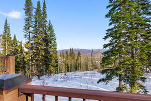 Snow covered deck featuring a view of trees and a balcony