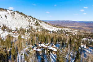 Snowy aerial view featuring a mountain view and a view of trees