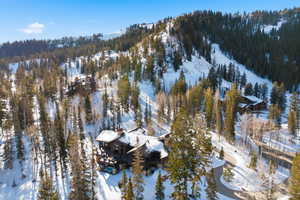 Snowy aerial view with a mountain view and a wooded view