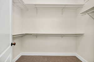 Walk in closet featuring carpet
