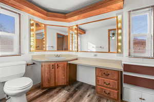 Bathroom with plenty of natural light, vanity, and dark wood-type flooring