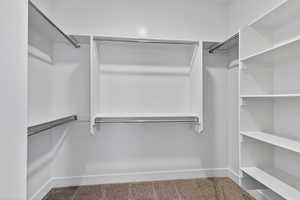 Spacious closet with carpet floors