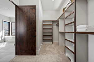 Walk in closet with light colored carpet