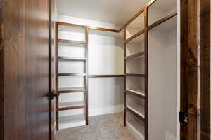 Spacious closet with light carpet