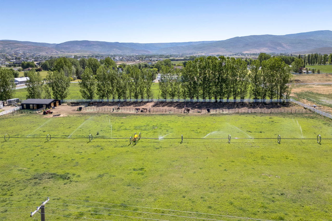 Expansive green pasture with active irrigation system, bordered by a row of mature trees and a fenced animal enclosure