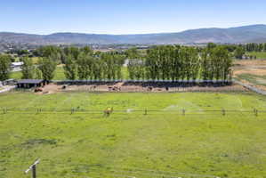 Expansive green pasture with active irrigation system, bordered by a row of mature trees and a fenced animal enclosure