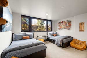 Bedroom with carpet flooring