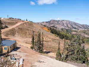 View of mountain background