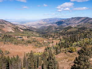 View of mountain backdrop featuring a heavily wooded area