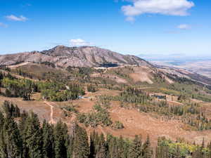 View of mountain background featuring a heavily wooded area