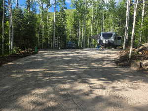 View of dirt / gravel road