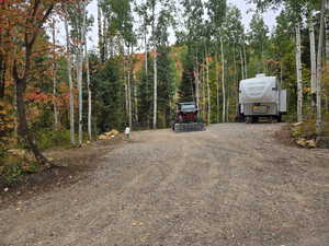 View of road featuring a forest view