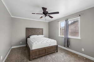 Bedroom with carpet floors, a ceiling fan, and crown molding