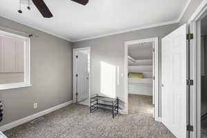 Bedroom featuring light colored carpet, a spacious closet, ornamental molding, and ceiling fan