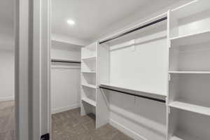 Walk in closet with light colored carpet