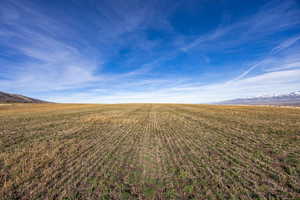 View of yard with a rural view