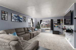 Carpeted living area featuring baseboards and crown molding