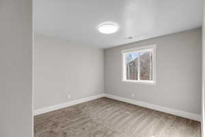 Empty room featuring light colored carpet and a textured ceiling