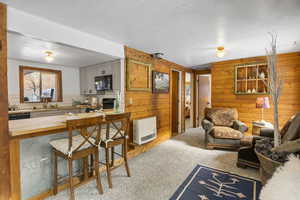 Living room with wood walls, light carpet, a textured ceiling, and heating unit