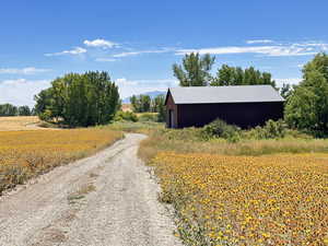 View of dirt / gravel road with a view of rural / pastoral area, a pole building, and a mountain view