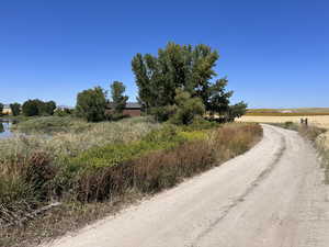 View of road featuring a view of rural / pastoral area