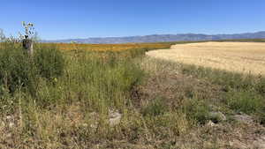 Mountain view featuring rural landscape