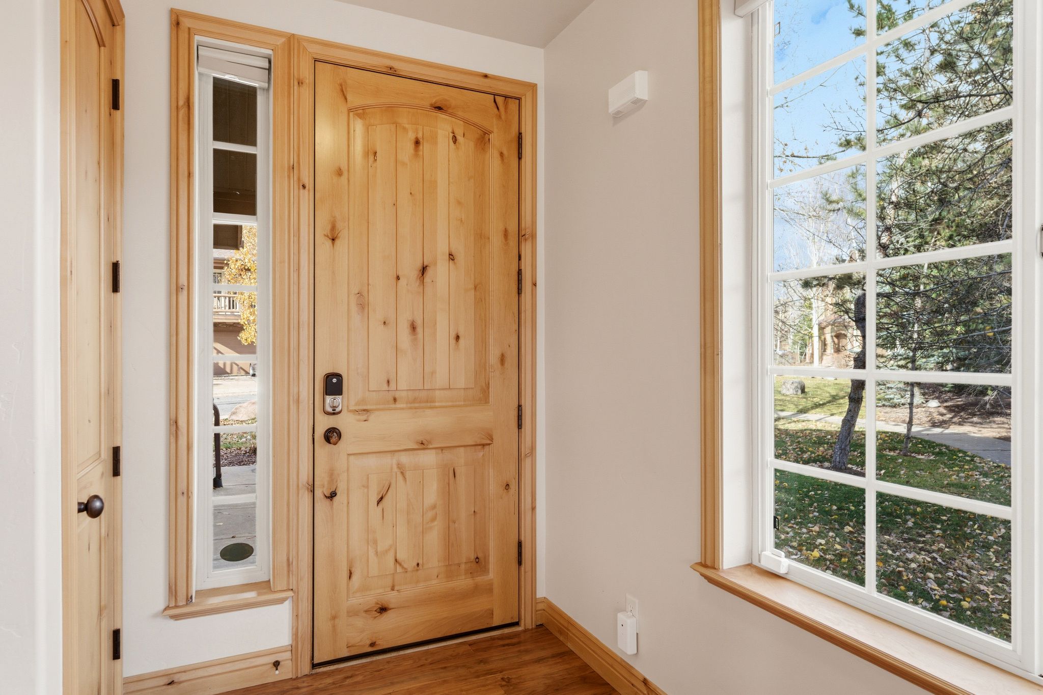 Entryway with plenty of natural light and wood finished floors