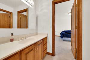 Bathroom featuring light carpet and vanity