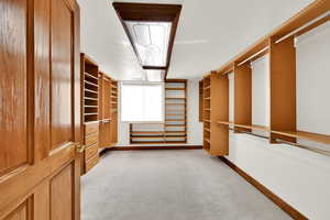 Walk in closet featuring light carpet