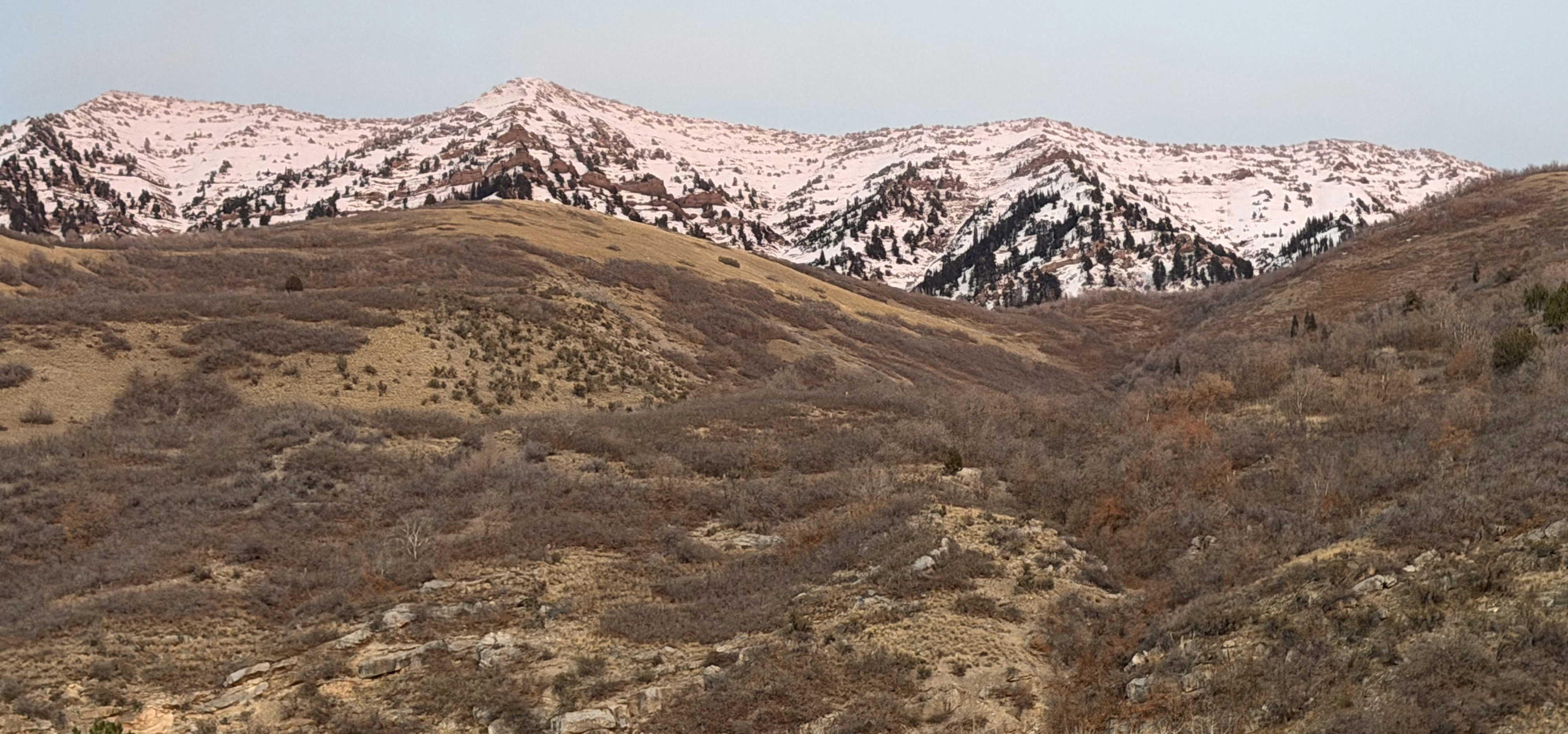 View of mountain background