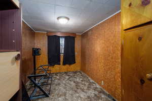 Carpeted spare room with ornamental molding