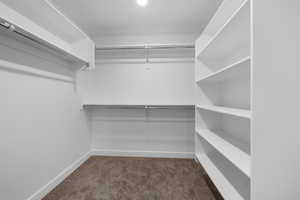 Spacious closet with dark carpet