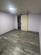 Basementr room with a barn door, a walk in closet, and wood finished floors