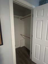 Spacious closet with dark wood-style flooring