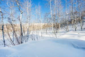 View of yard covered in snow
