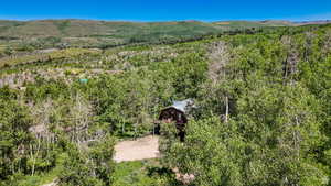 View from above of property with a heavily wooded area and a mountainous background