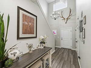 Foyer entrance featuring a high ceiling, a chandelier, and dark wood-type flooring