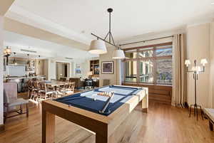 Playroom with billiards table