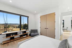 Bedroom featuring light wood-style floors, a closet, a mountain view, and recessed lighting