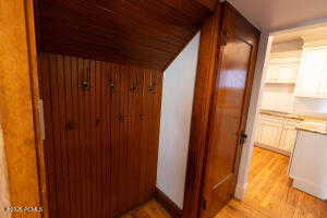 Hall storage and door to basement off of entry area.