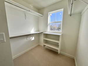 Walk in closet with light colored carpet