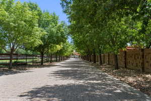 View of decorative road