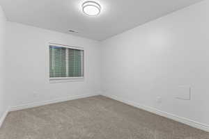 Basement Office / Flex Room