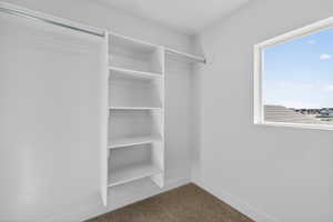 Spacious closet with dark carpet