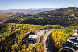 Drone / aerial view of a mountain backdrop and a heavily wooded area