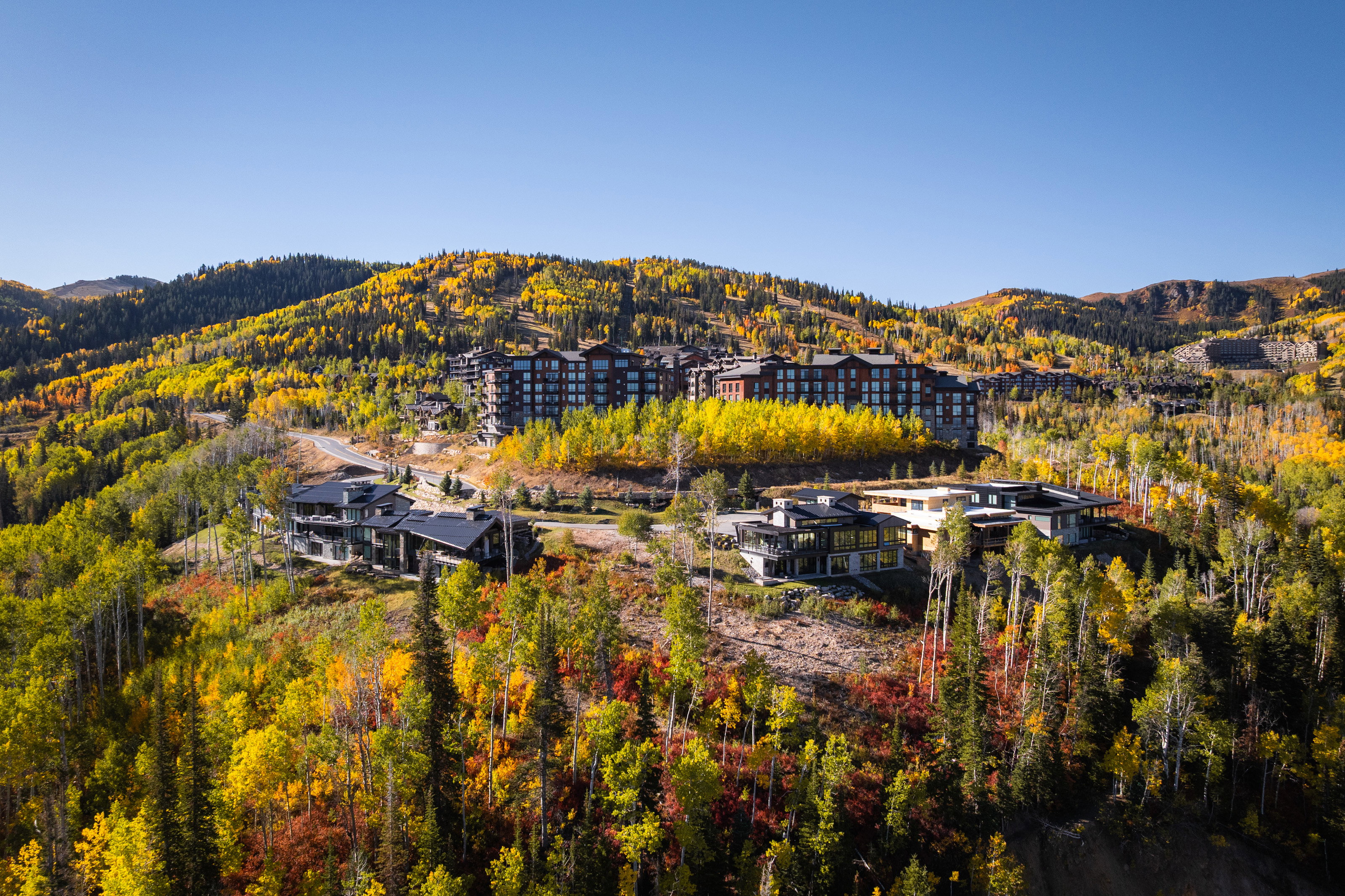 Mountain view with a forest
